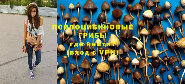 дурь Кодинск