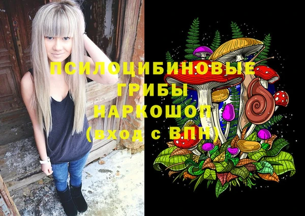 дурь Кодинск