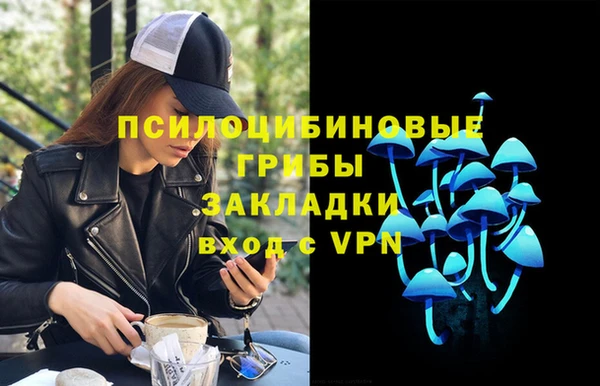 дурь Кодинск